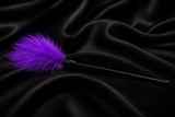 Feather Starburst (TOYS025)