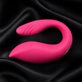 Remote Control 10-Speed Pink Color Rechargeable Silicone Vibrator (Dual Vibrators) (VIB020)